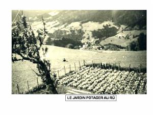 LA JEUNE FRANCE ORAN PAR RENE PONS  (278)